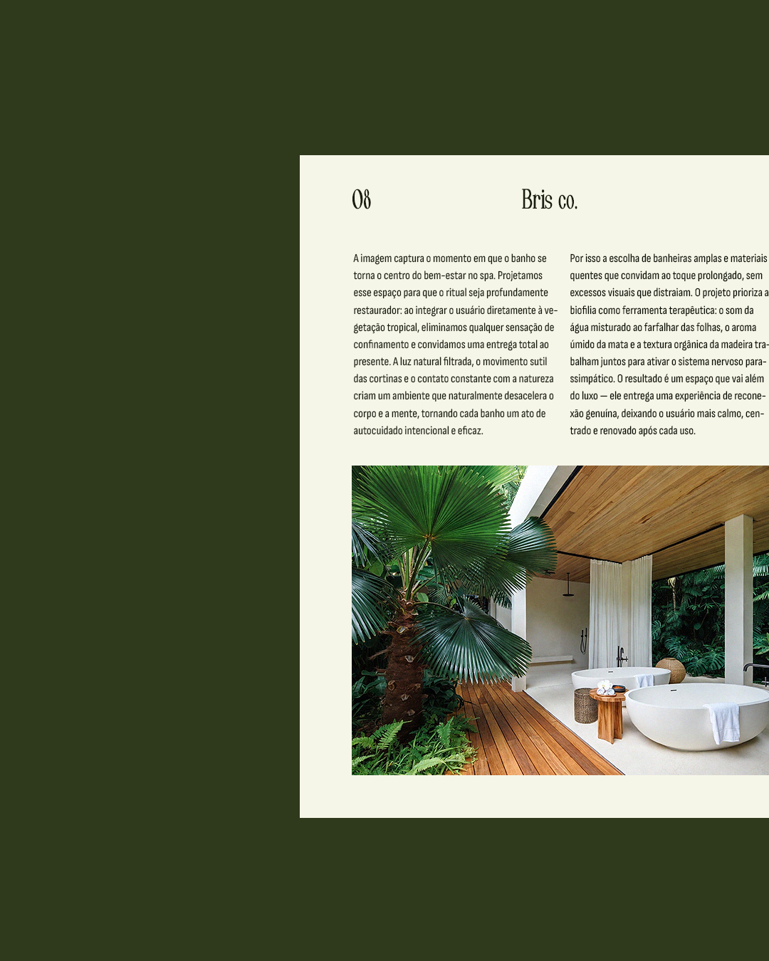 Apresentação de projeto de arquitetura e interiores da Bris Co.